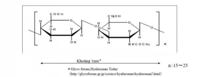 Hyalo Veil-P trong mỹ phẩm