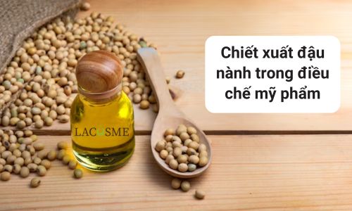 Chiết xuất đậu nành là gì?